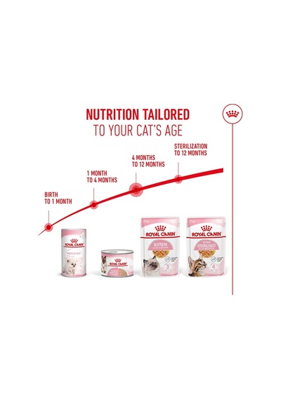 Royal Canin Kitten Jelly Pouch Yaş Mama, Yavru Kedi, 85 G X 12 Adet