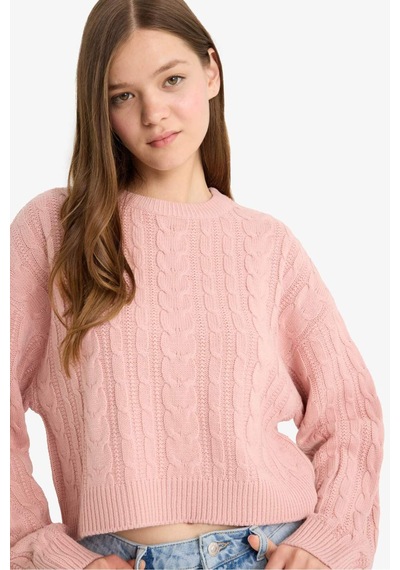 Defacto Coool Regular Fit Bisiklet Yaka Triko Kazak T4518az25wnpn83 Pembe