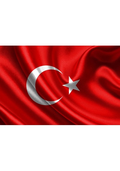 Vatan Türk Bayrağı 40X60CM Polyester Kumaş