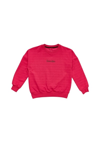 İrem Çocuk Giyim Kız Çocuk Önü Yazı Arkası Resim Baskılı Bisiklet Yaka Sweatshirt Fuşya Fuşya İrem Çocuk Giyim Kız Çocuk Önü Yazı Arkası Resim Baskılı Bisiklet Yaka Sweatshirt Fuşya Fuşya