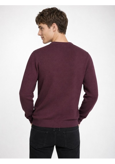 Loft Regular Fit Erkek Kazak Lf2040477 Q1.v1 Burgundy