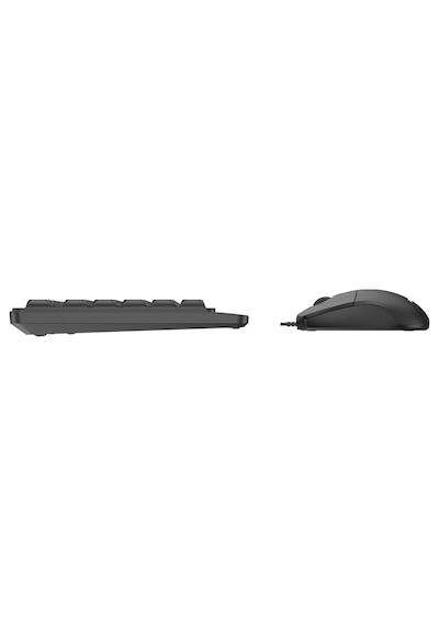 Philips SPT6247 Kablolu Türkçe Q Klavye ve Mouse Seti Siyah