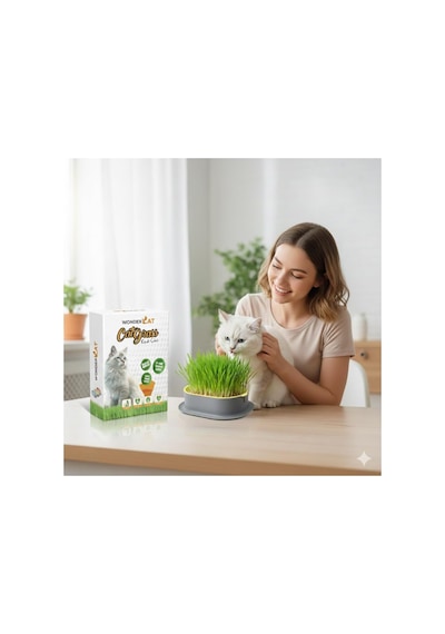 Topraksız Kedi Çimi Kedi Otu Mix Karışım Çim