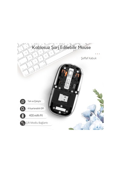 Siyah 501 Bt+ Wireless Mouse Zr1133