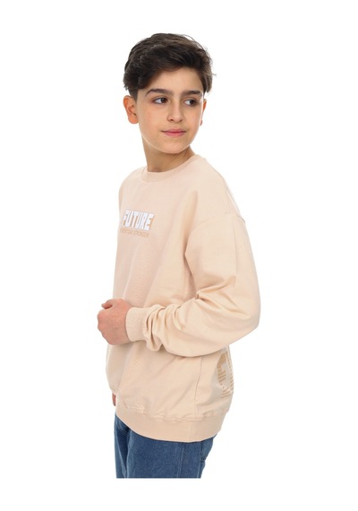 Toontoy Kids Toontoy Erkek Çocuk Baskılı Sweatshirt Bej