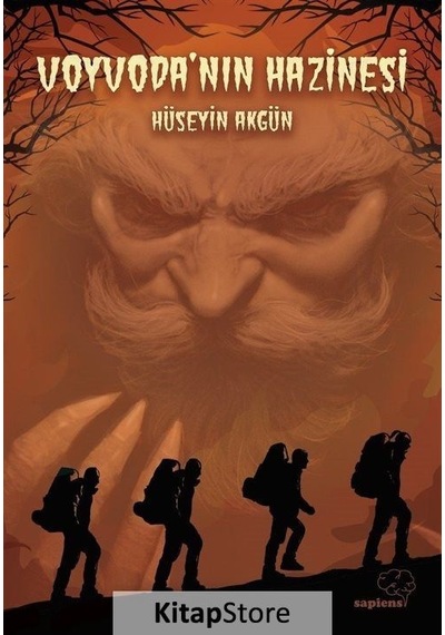 Voyvodanın Hazinesi - Hüseyin Akgün - Sapiens