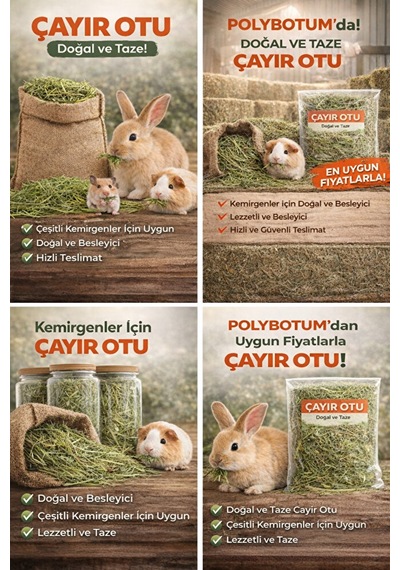 Doğal Çayır Otu Kemirgen Yemi Tavşan Hamster Ginepig Chinchilla D