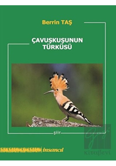 Çavuşkuşunun Türküsü - Berrin Taş - İnsancıl Yayınları