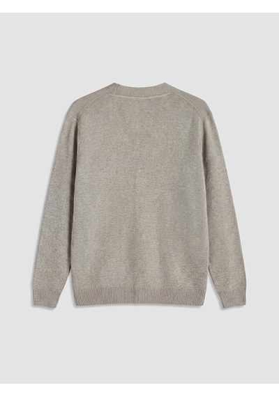Lcwaıkıkı Classic Bej Regular Fit V Yaka Erkek Triko Hırka