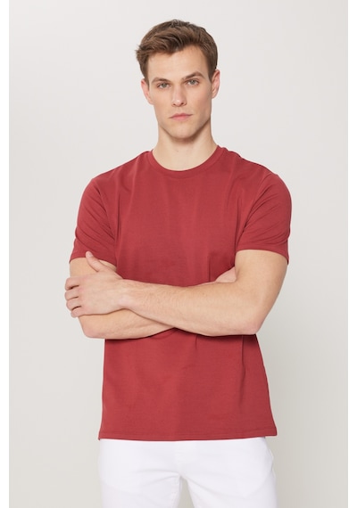 Ac&Co / Altınyıldız Classics Erkek Bordo Standart Fit Normal Kesim Bisiklet Yaka Pamuklu Tişört Bordo