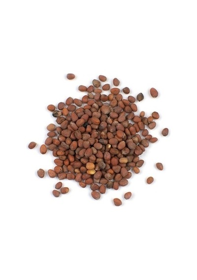 Aktar Store Kırmızı Turp Tohumu 250 Gr