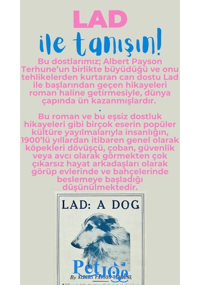Petjoo 23.Lad Mavi-Pembe Qr'lı Köpek Künyesi