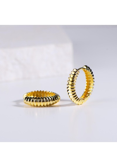 Goldkupe 14 Ayar Altın Halka Küpe 6,87 Gr-6430