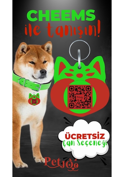 Petjoo 18.Cheems Kırmızı-Yeşil Qr'lı Köpek Künyesi