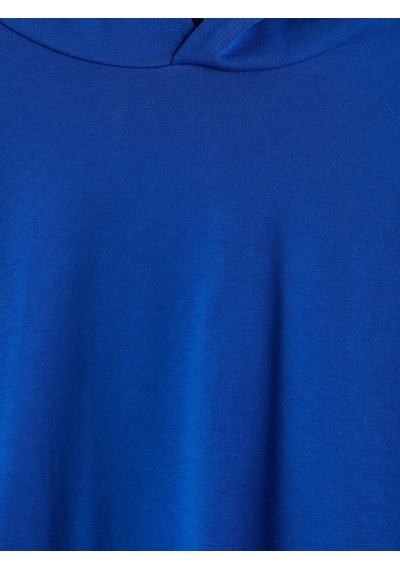 LC Waikiki Lc Waıkıkı Mavi Kanguru Cepli Erkek Hoodie