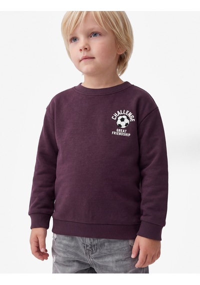 Koton Bisiklet Yaka Uzun Kollu Baskı Detaylı Şardonlu Sweatshirt Mor 7wmb10109tk