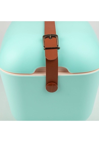 Polarbox Verde Agua Rosa Classic - 12l Buzluk Cooler Çok Renkli