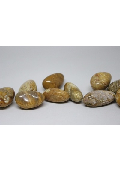 Tibet Akik Taşı ( 20-29 Gram)