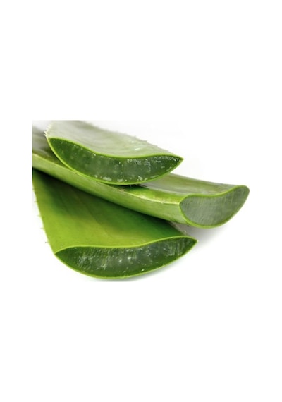 Lokman Aktar Aloe Vera Jel 500 ML