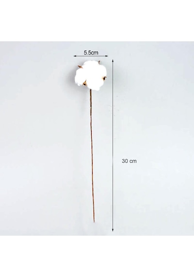 Doğal Pamuk Çiçeği Tekli Dal Kuru Yapay Çiçek 30 CM 10 'lu