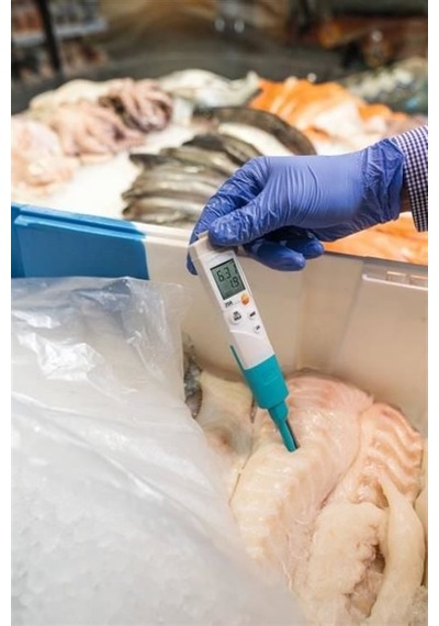Testo 206 Ph2 - Yarı Katılar İçin Ph Metre / Sıcaklık Ölçüm Cihazı