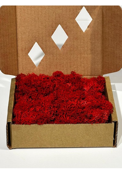 Reindermoss Şoklanmış Norveç Yosunu Terarium Yosunu Kırmızı 100 Gr.
