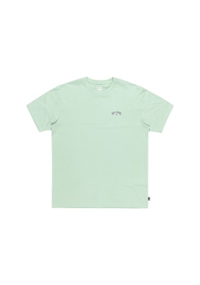 Billabong Arch Wave Ss Pastel Yesıl Erkek Kısa Kol Gömlek Yeşil