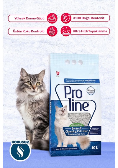 Bentonit Kedi Kumu, 10 L 2 Paketi
