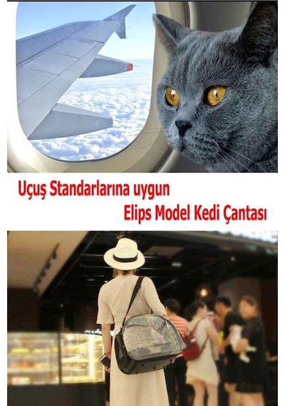 YCLSHOP Şeffaf Astronot Kedi Köpek Taşıma Sırt Omuz ve El Çantası