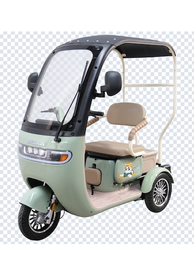 Arora Rüzgar Pro 650 W 60 V 20 AH 3 Tekerlekli Elektrikli Motosiklet Yeşil