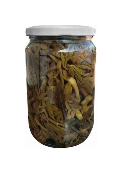 Kaya Koruğu 250gr