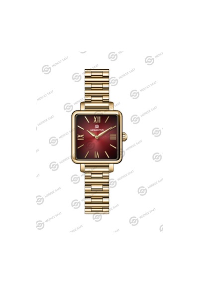 Momentus Women's Classy Cw312g-14sg Gri