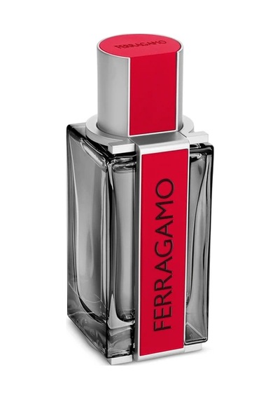 Ferragamo Red Leather Erkek EDP 50 ML