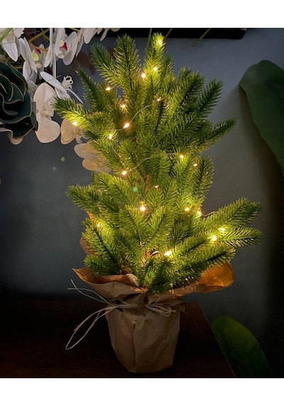Yılbaşı Ağacı Led Işıklı Yapay Çam Ağacı Kraft Saksıda 55cm
