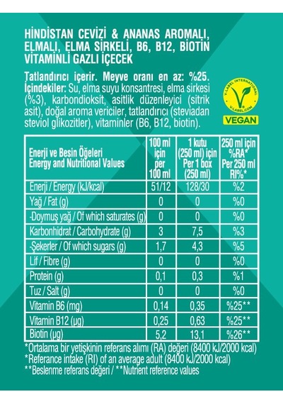 Nontoxx Hindistan Cevizi & Ananas Aromalı, Sirkeli, Gazlı İçecek 250 Ml