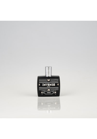 Bargello Intense Erkek Parfüm EDP 50 ML