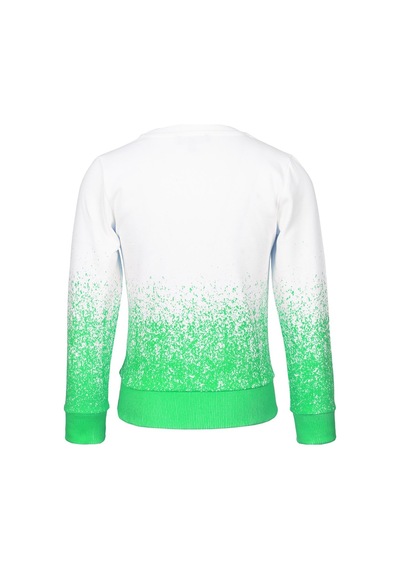 Brz Kids Kız Çocuk Baskılı Sweashirt-yeşil Yeşil