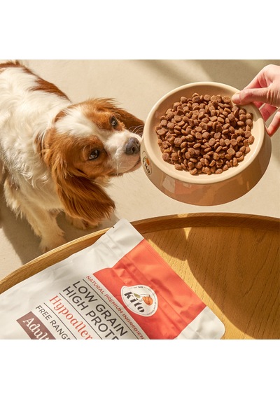 Kito Kuzu Etli Mini Irk Yetişkin Köpek Maması 2500 G + Kito Fresh Somon Etli Köpek Yemeği 6'lı