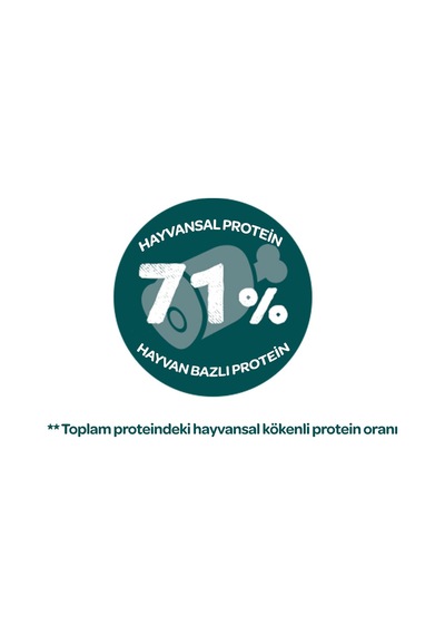 Sanabelle Outdoor Ördek Etli Yetişkin Kuru Kedi Maması 8 KG