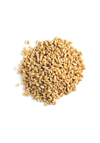 Yerli Buğday 5 KG