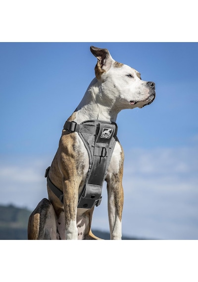 Tr Köpek Koşum Takımı Pet Walking Koşum Takımı No Pull Koşum Ön Klips Fonksiyonu Antrenman İçin Araç Em Genel