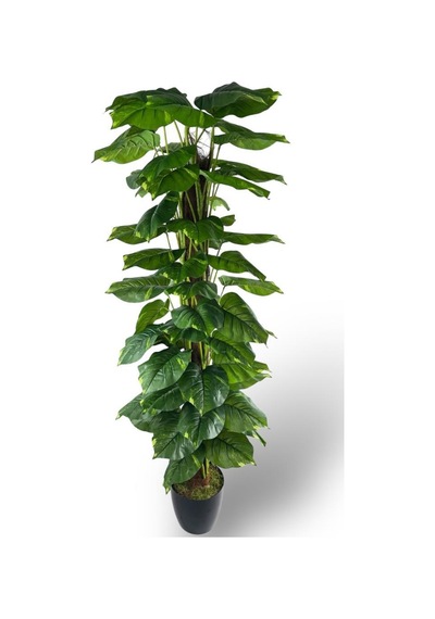 Yapay Çiçek Pothos Salon Sarmaşığı Tropik Salon Bitkisi Yapay Ağaç 165cm