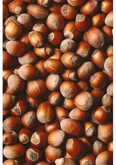 Kabuklu Fındık Duble Çiğ 1 Kg Diğer