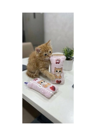 Kedi Köpek Oyuncağı Peluş Baskılı, Yumuşak Kumaşlı Hışırtılı Oyuncak Pembe - 937493409