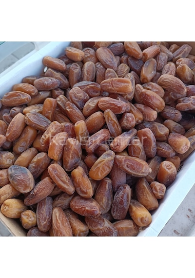 Toptan Lüks Tunus Hurma Deglet Nour 5 Kg 5 KG