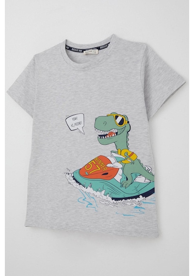 Breeze Erkek Çocuk Şortlu Takım Jetski Tutkunu Havalı Dinozor Baskılı 5-9 Yaş, Açık Gri Melanj Açık Gri Melanj Breeze Erkek Çocuk Şortlu Takım Jetski Tutkunu Havalı Dinozor Baskılı 5-9 Yaş, Açık Gri Melanj Açık Gri Melanj