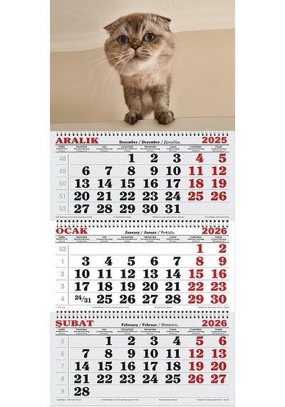 2026 Yılı Gemici Takvimi-scottish Fold Yavru Kedi