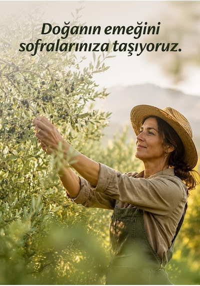 Olivisimo Erken Hasat Soğuk Sıkım Natürel Sızma Zeytinyağı 2 Lt