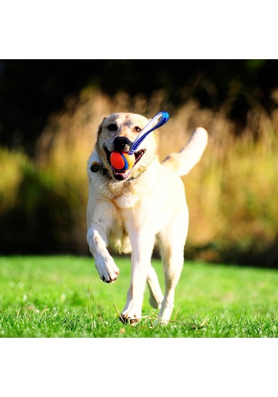 Chuckit Ultra Tug Köpek Çekiştirme Topu Orta Boy Çok Renkli