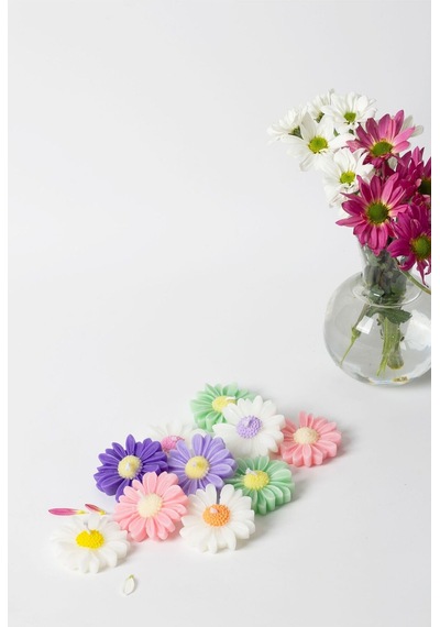 Bernami Mumluk Şamdanpinterest 10 Lu Renkli Papatya Mum Diğer